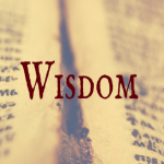 bible study on Proverbs 8:1-36